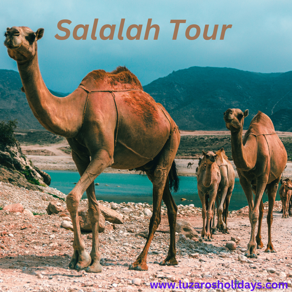 Why Salalah May Not Be the Best Destination for Your Eid Al Fitr Holidays Trip: Understanding Salalah's Seasons and Best Times to Visit
